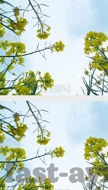 乐鱼体育软件速98db in-乐鱼体育软件，沉浸式体验的新篇章
