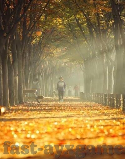 在哪网投百家乐的网站_-寻找可靠的网络投注平台，以百家乐为例